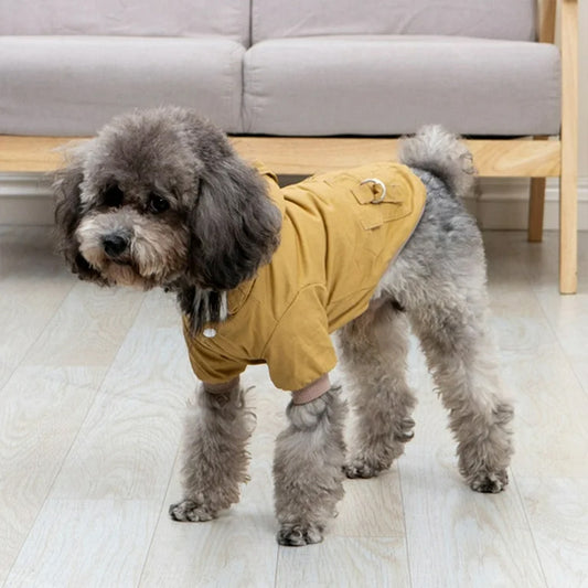 manteau pour chien impermeable salon