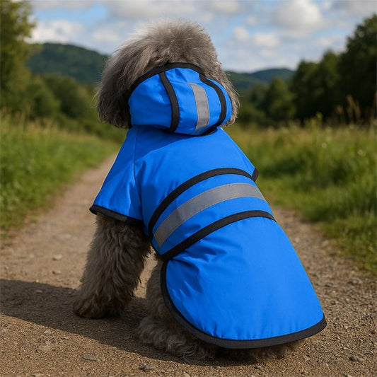 manteau pour chien montagne