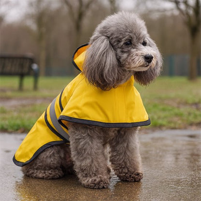 manteau pour chien parc