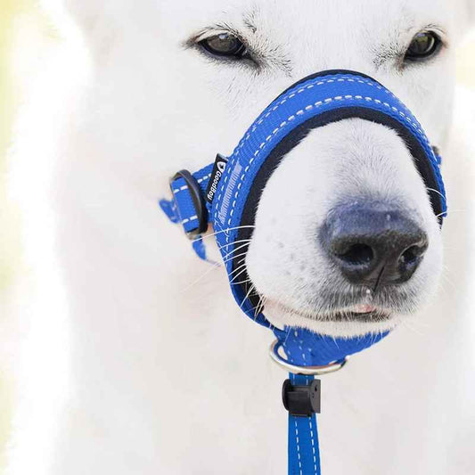 museliere chien confortsafe debout gueule