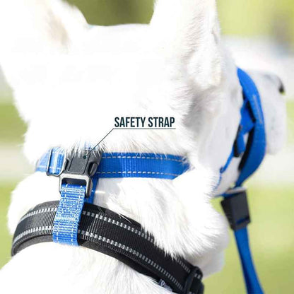 museliere chien confortsafe debout modes