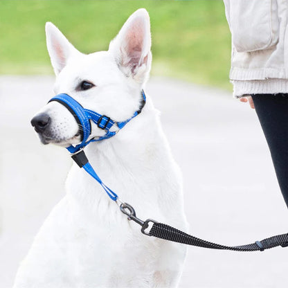 museliere chien confortsafe debout parc
