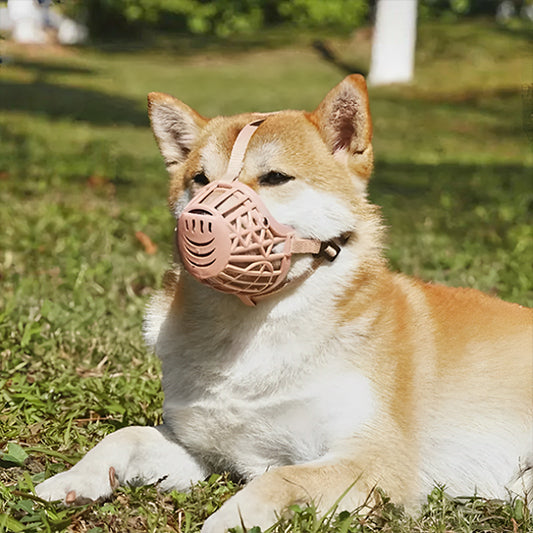 museliere chien confortsecurite