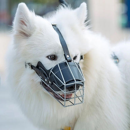 museliere pour chien comfort blanc photo