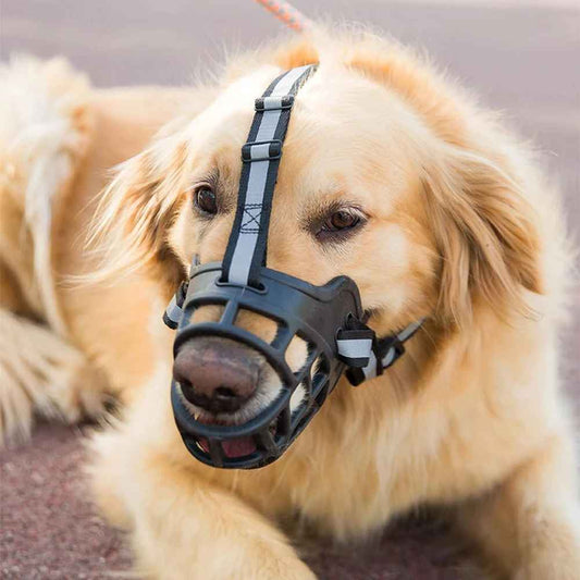 museliere  pour chien securemuzzle assis