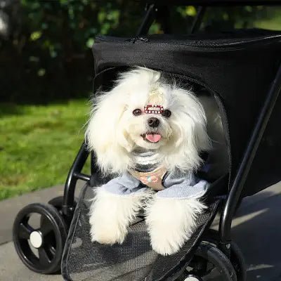 Poussette pour Chien - PetStroller™ - Noir - Elégance Toutou