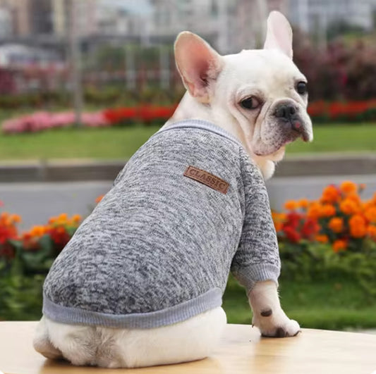 pull chien cozypet assis gris