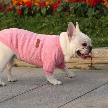 pull chien cozypet jardin