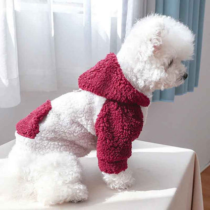 pull pour chien cozywinter table rouge