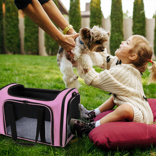 sac de transport de chien elegant
