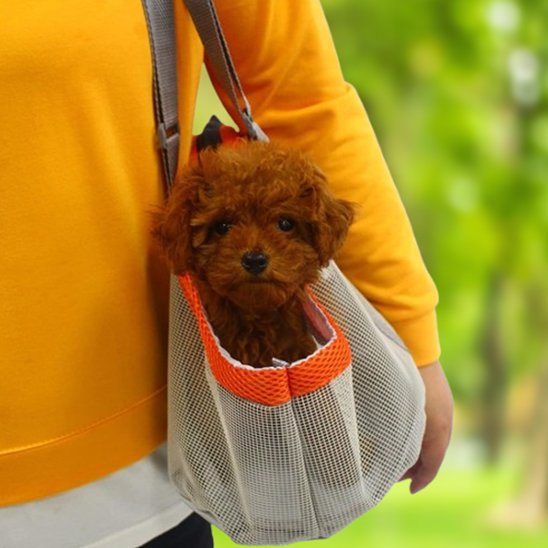 sac de transport pour chien port