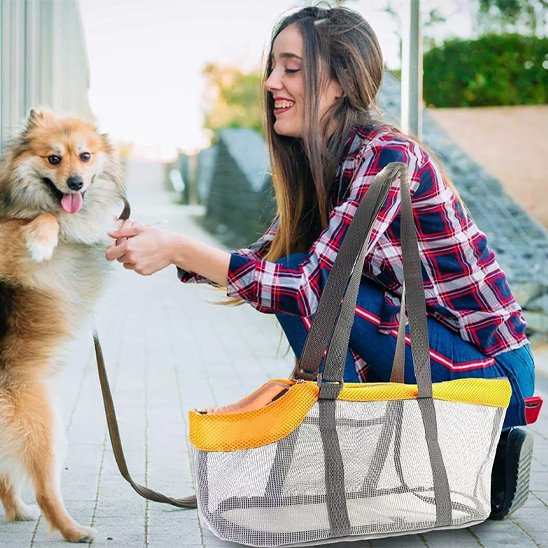 sac de transport pour chien rue