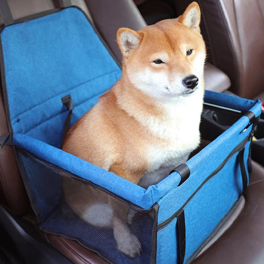 siege auto pour chien