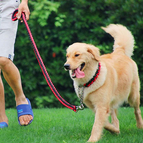 une laisse de chien ergocomfort  runing