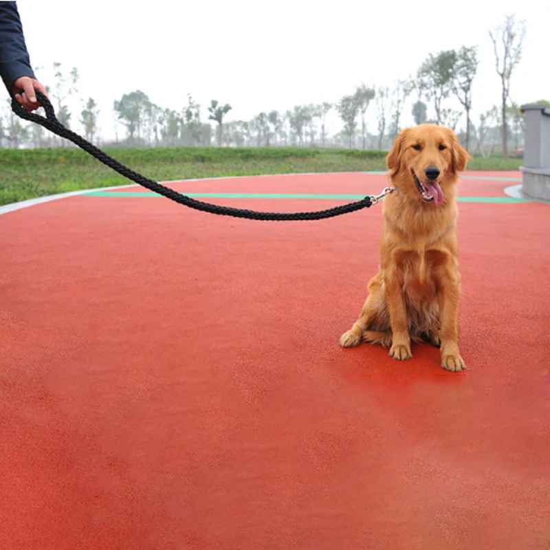 une laisse de chien ergocomfort stade