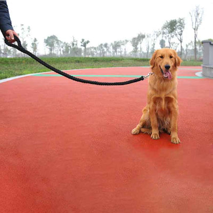 une laisse de chien ergocomfort stade
